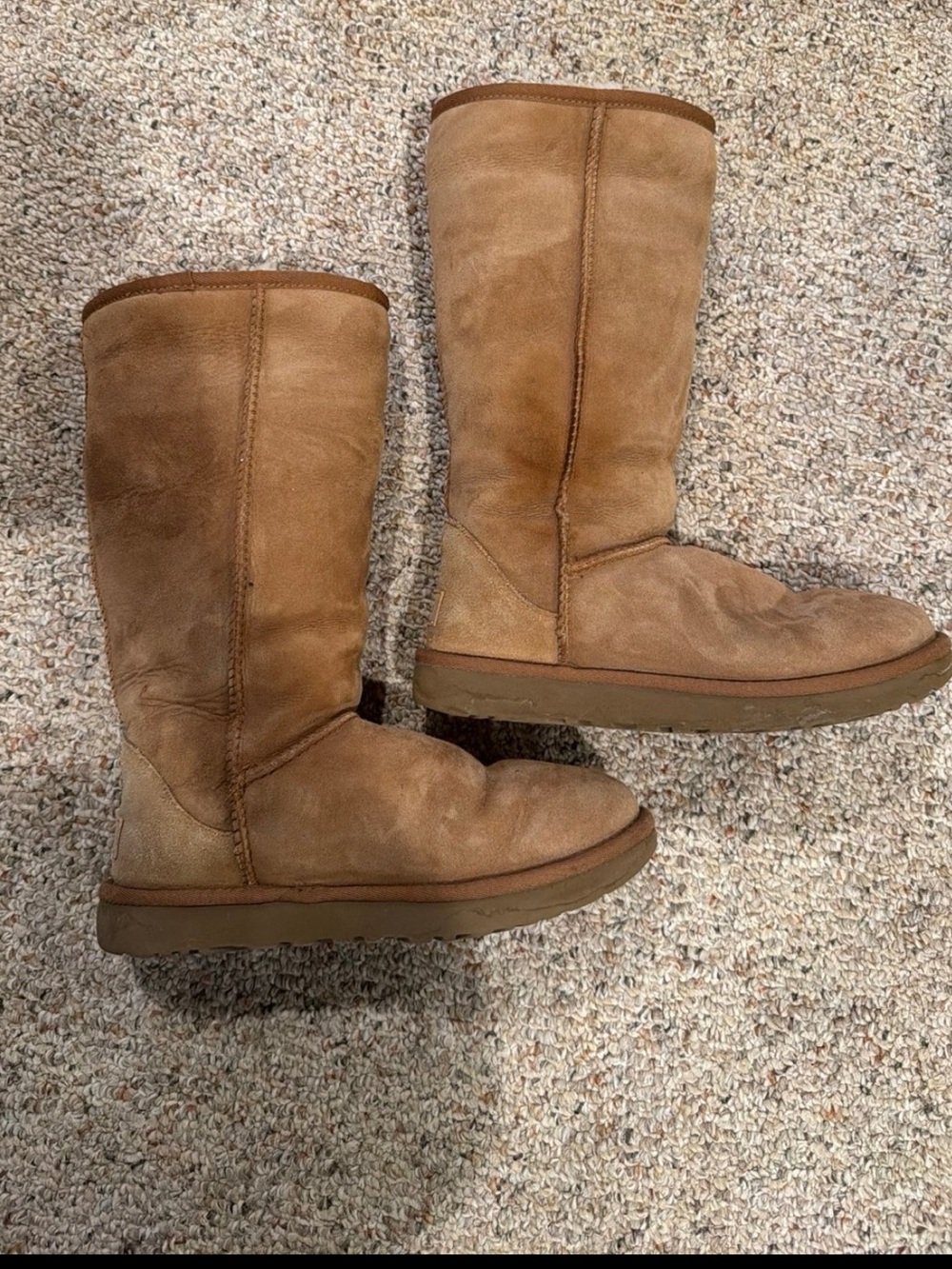 Ugg Tall Classic in Chestnut